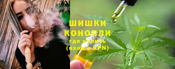 спайс Осинники