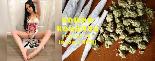ECSTASY Ессентукская