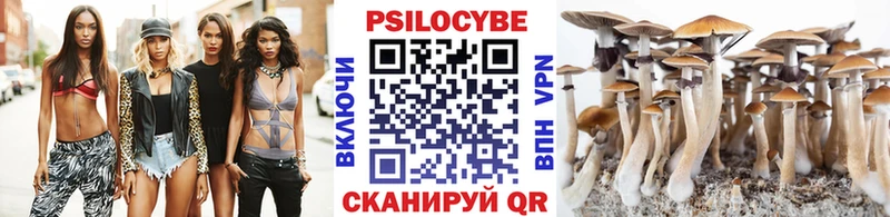 Псилоцибиновые грибы Psilocybine cubensis  дарк нет как зайти  Петушки  хочу наркоту 